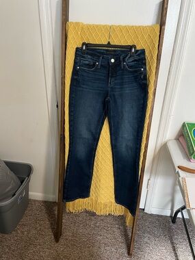Silver Jeans Dark Indigo Skinny Jeans